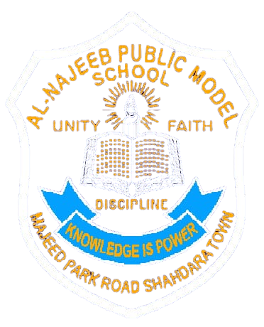 Al Najeeb Public Model high school